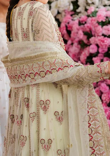 Akbar Aslam Keneel Pakistani Organza Anarkali