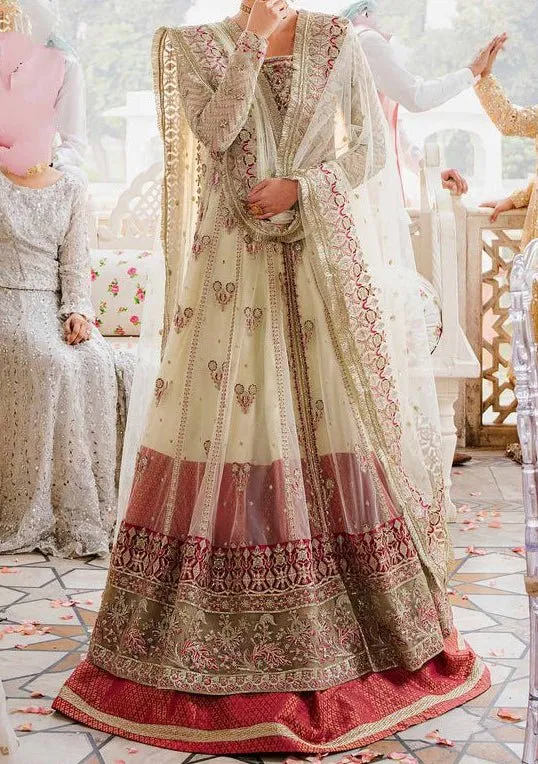 Akbar Aslam Keneel Pakistani Organza Anarkali