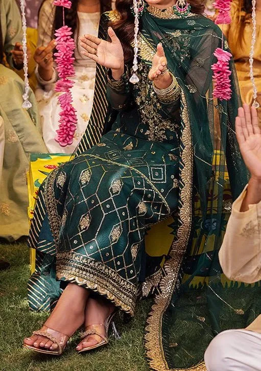 Asim Jofa Jag Mag Pakistani Net Dress