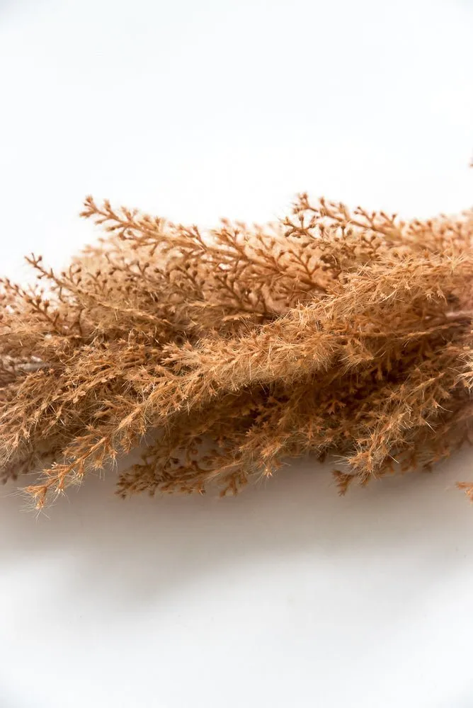 Astilbe stem - rusty brown