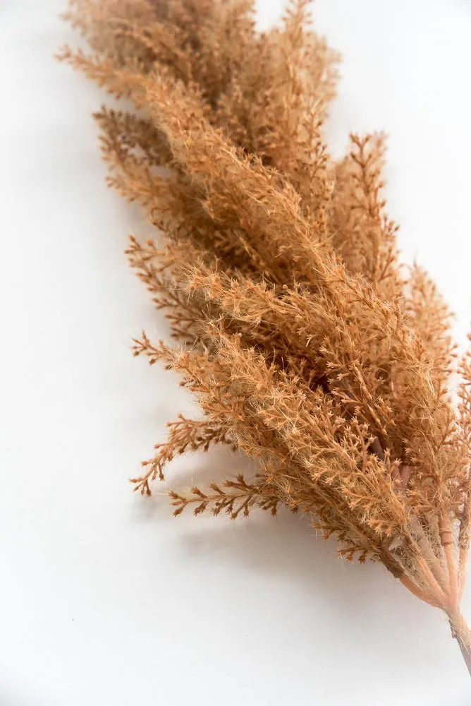 Astilbe stem - rusty brown