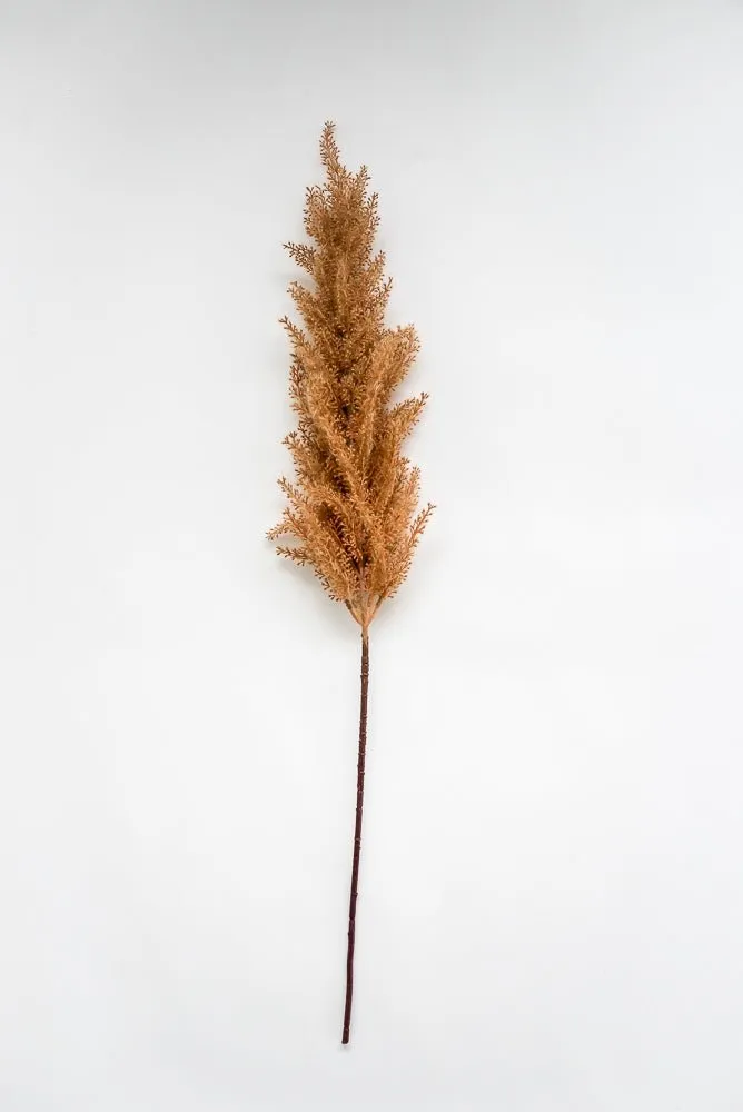 Astilbe stem - rusty brown