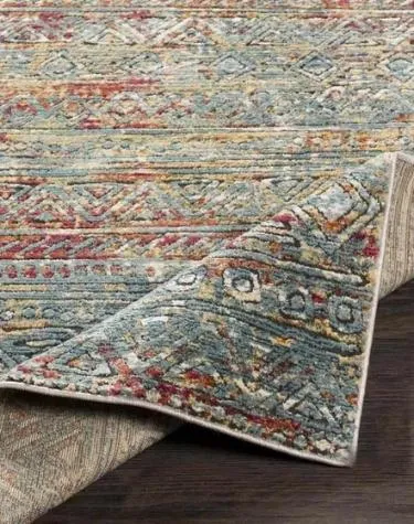 Braunquois Aria Traditional Area Rug