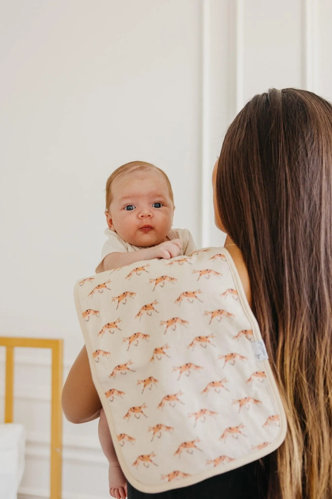 Burp Cloth Set - Swift