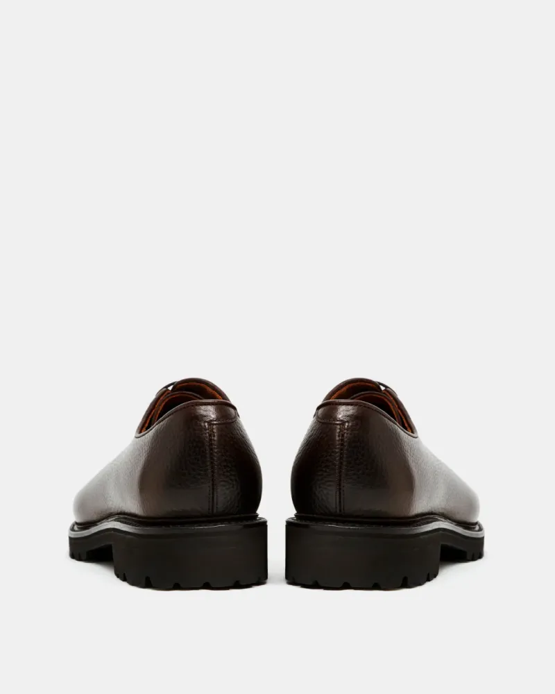 Dark Brown Derby Shoe