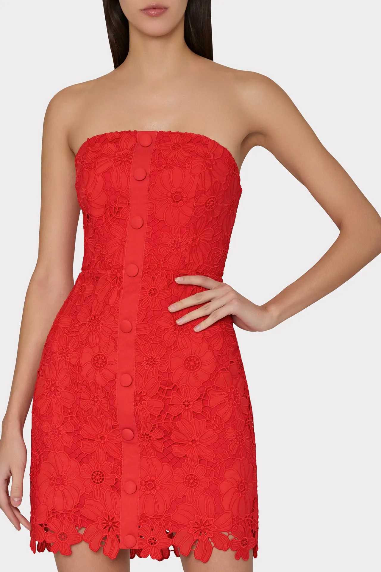 Roja Lace Mini Dress